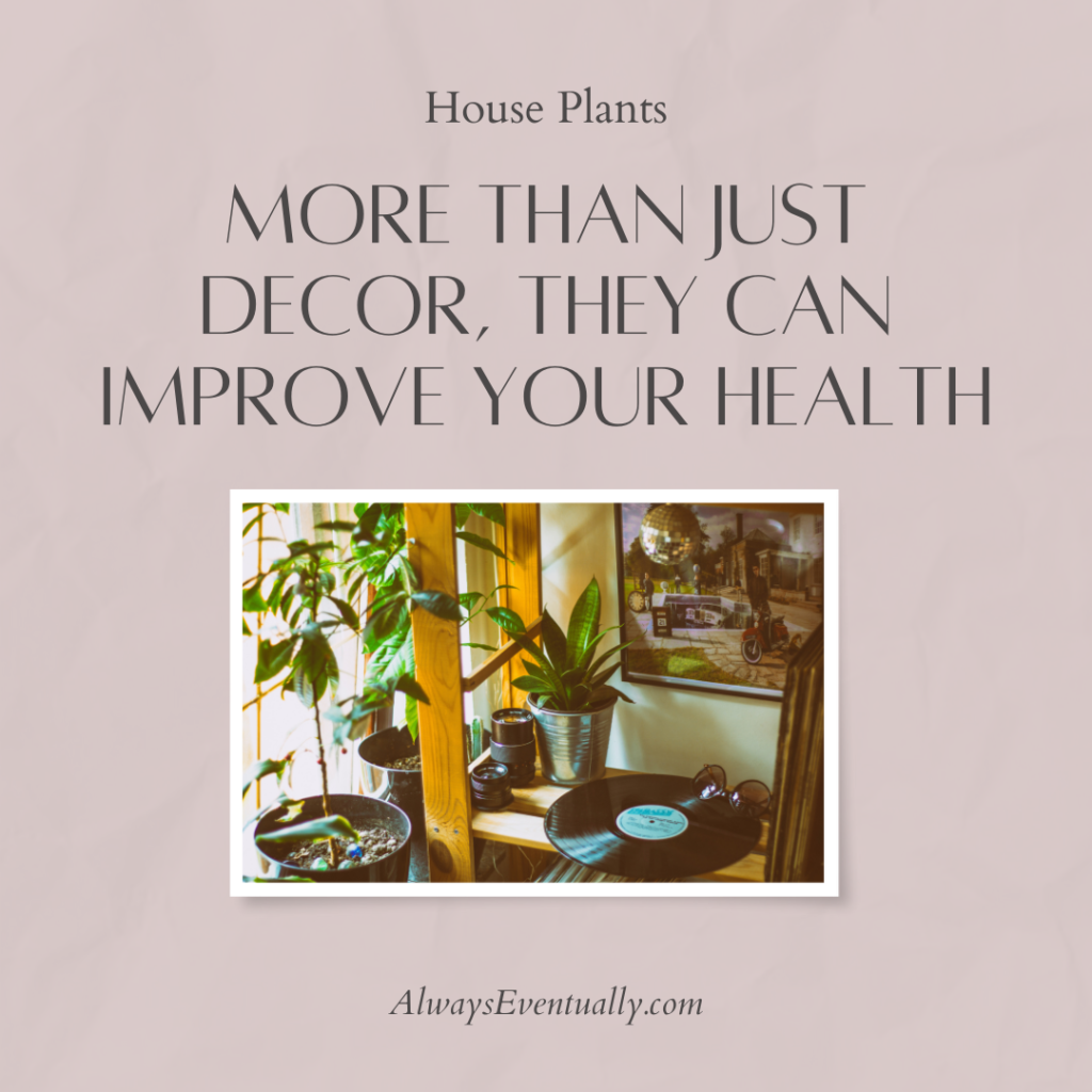 Image includes a picture of a rec room with a lot of house plants. It reads: House Plants. More than just decor, they can improve your health.